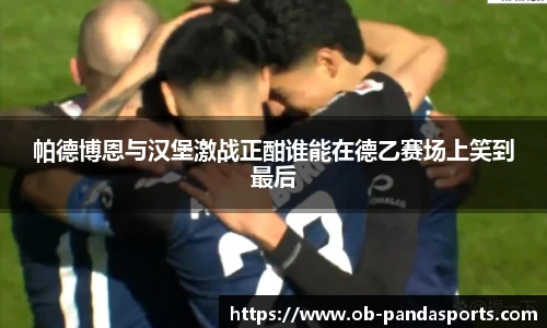 帕德博恩与汉堡激战正酣谁能在德乙赛场上笑到最后
